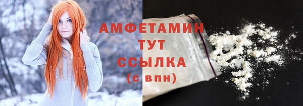шишки Белоозёрский