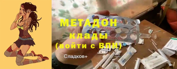 шишки Белоозёрский