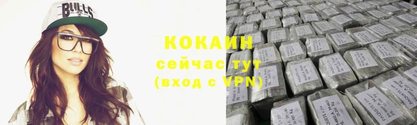 дживик Богородицк