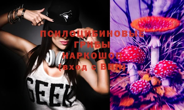шишки Белоозёрский