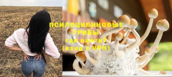 гидропоника Богданович
