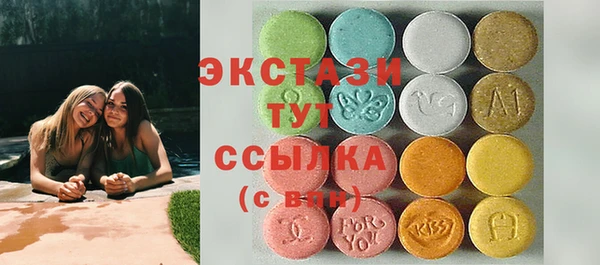 дживик Богородицк