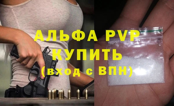 шишки Белоозёрский
