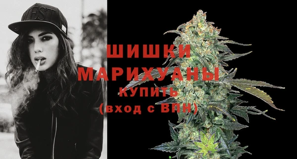 гидропоника Богданович